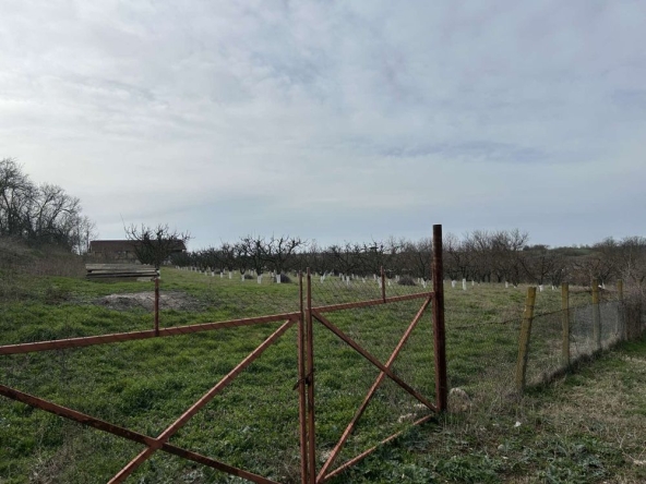 Парцел в с. Йорданово, Област Силистра - 2440 кв.м за 3 €/кв.м - Снимка #1