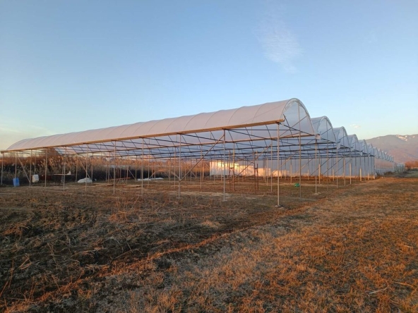 Земеделски имот в с. Спатово, Област Благоевград -  кв.м за 28688 €/дка - Снимка #1