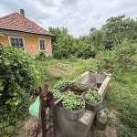 Къща в Брегово - 80 кв.м за 57 €/кв.м - Снимка #1