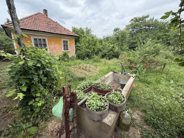 Къща в Брегово - 80 кв.м за 57 €/кв.м - Снимка #1