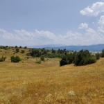 Парцел в с. Алино, Област София-област - 3103 кв.м за 12 €/кв.м - Снимка #1