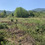 Парцел в с. Новаково, Област Пловдив - 1200 кв.м за 32 €/кв.м - Снимка #1