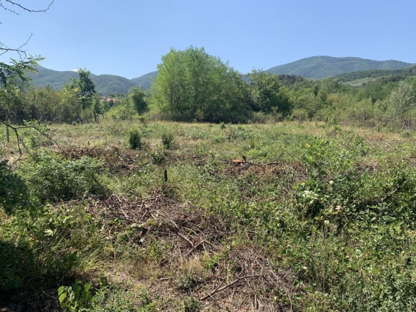 Парцел в с. Новаково, Област Пловдив - 1200 кв.м за 32 €/кв.м - Снимка #1