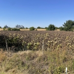 Земеделски имот в с. Калипетрово, Област Силистра -  кв.м за 6193 €/дка - Снимка #1