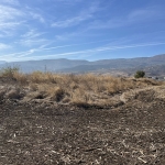 Земеделски имот в Асеновград -  кв.м за 23 €/дка - Снимка #1