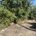 Парцел в с. Калипетрово, Област Силистра - 1050 кв.м за 12 €/кв.м - Снимка #1