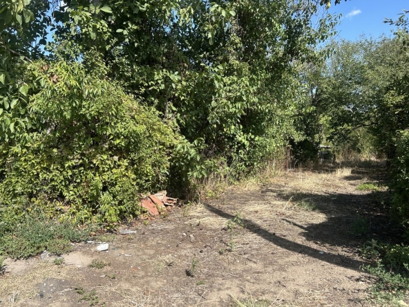 Парцел в с. Калипетрово, Област Силистра - 1050 кв.м за 12 €/кв.м - Снимка #1