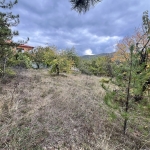 Парцел в с. Пряпорец, Област Стара Загора - 1620 кв.м за 42 €/кв.м - Снимка #1