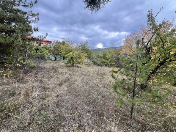 Парцел в с. Пряпорец, Област Стара Загора - 1620 кв.м за 42 €/кв.м - Снимка #1