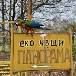 Дава се под наем Къща в Сливен, Промишлена зона - 24 кв.м за 25.5 € - Снимка #1