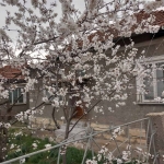 Къща в Исперих - 120 кв.м за 510 €/кв.м - Снимка #1