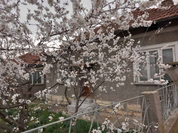 Къща в Исперих - 120 кв.м за 510 €/кв.м - Снимка #1