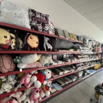 Магазин в Пловдив, Сточна гара - 45 кв.м за 91 €/кв.м - Снимка #1