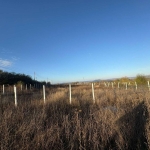 Парцел в с. Овчарово, Област Търговище - 2200 кв.м за 14 €/кв.м - Снимка #1