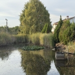 Промишлена сграда в с. Калугерово, Област Пазарджик - 23000 кв.м за 19 €/кв.м - Снимка #1