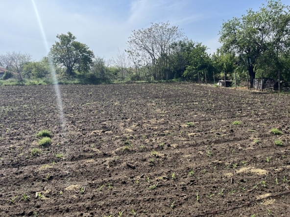 Парцел в с. Калипетрово, Област Силистра - 956 кв.м за 13 €/кв.м - Снимка #1