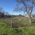 Парцел в с. Кривня, Област Варна - 1760 кв.м за 9 €/кв.м - Снимка #1