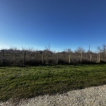 Земеделски имот в с. Обнова, Област Плевен -  кв.м за 4539 €/дка - Снимка #1