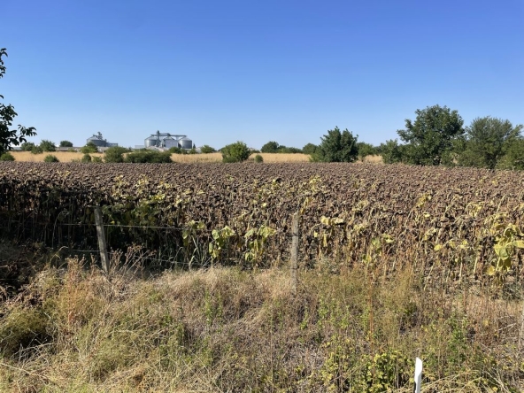 Земеделски имот в с. Калипетрово, Област Силистра -  кв.м за 5610 €/дка - Снимка #1