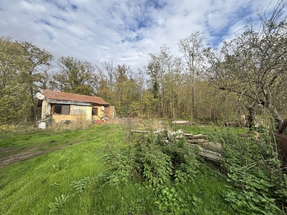 Парцел в с. Бенковски, Област Пловдив - 630 кв.м за 15 €/кв.м - Снимка #1