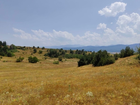 Парцел в с. Алино, Област София-област - 3103 кв.м за 5 €/кв.м - Снимка #1