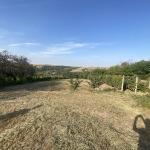 Парцел в с. Калипетрово, Област Силистра - 2000 кв.м за 8 €/кв.м - Снимка #1