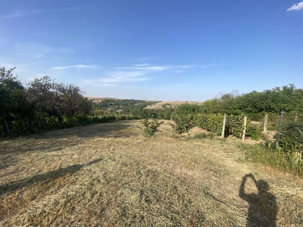 Парцел в с. Калипетрово, Област Силистра - 2000 кв.м за 8 €/кв.м - Снимка #1