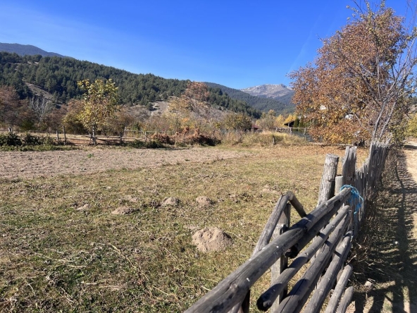 Парцел в с. Добърско, Област Благоевград - 800 кв.м за 62 €/кв.м - Снимка #1