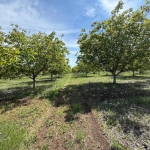 Земеделски имот в Перущица -  кв.м за 2307 €/дка - Снимка #1