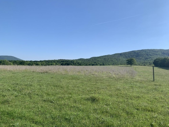 Земеделски имот в Царево -  кв.м за 2550 €/дка - Снимка #1