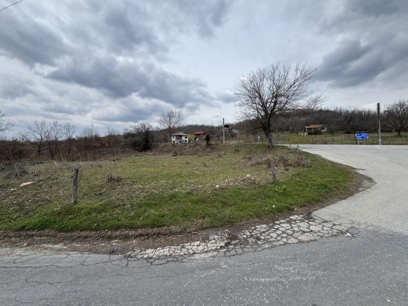 Земеделски имот в с. Голяма Желязна, Област Ловеч -  кв.м за 3 €/дка - Снимка #1