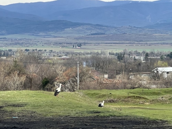 Парцел в с. Тъжа, Област Стара Загора - 1826 кв.м за 14 €/кв.м - Снимка #1