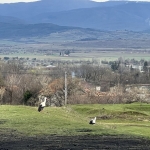 Парцел в с. Тъжа, Област Стара Загора - 1826 кв.м за 14 €/кв.м - Снимка #1