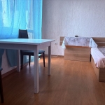 Дава се под наем Едностаен апартамент в Пловдив, Каменица 1 - 36 кв.м за 259.08 € - Снимка #1