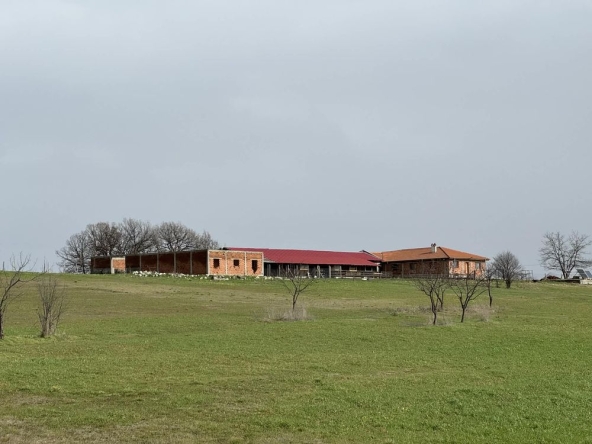 Парцел в с. Подкрепа, Област Хасково - 930 кв.м за 110 €/кв.м - Снимка #1