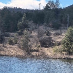 Парцел в с. Преколница, Област Кюстендил - 3000 кв.м за 2 €/кв.м - Снимка #1