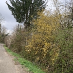 Парцел в София, Банишора - 1345 кв.м за 9 €/кв.м - Снимка #1