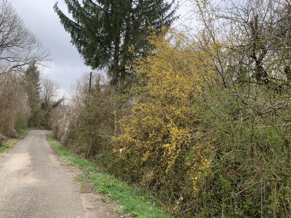 Парцел в София, Банишора - 1345 кв.м за 9 €/кв.м - Снимка #1