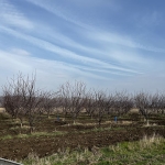 Земеделски имот в с. Поляново, Област Бургас -  кв.м за 1530 €/дка - Снимка #1