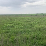 Парцел в с. Малко Кадиево, Област Стара Загора - 625 кв.м за 40 €/кв.м - Снимка #1