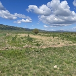 Земеделски имот в Самоков -  кв.м за 8 €/дка - Снимка #1