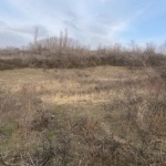 Земеделски имот в Сандански -  кв.м за 1530 €/дка - Снимка #1