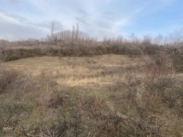 Земеделски имот в Сандански -  кв.м за 1530 €/дка - Снимка #1