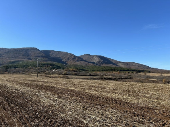 Земеделски имот в Асеновград -  кв.м за 2550 €/дка - Снимка #1