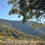 Парцел в Търговище, Вилна зона - 550 кв.м за 14 €/кв.м - Снимка #1