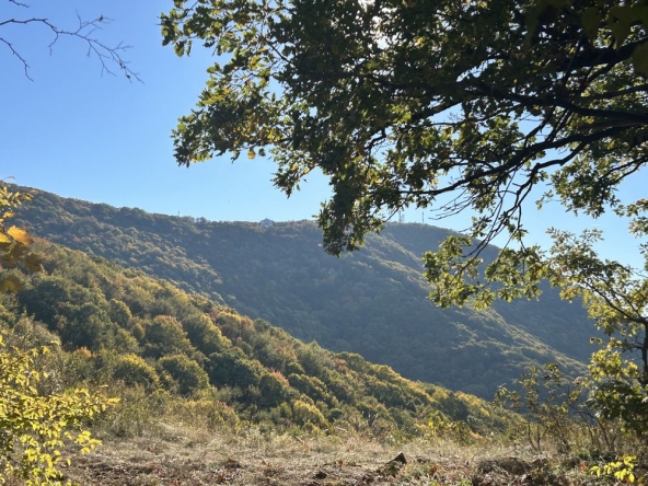 Парцел в Търговище, Вилна зона - 550 кв.м за 14 €/кв.м - Снимка #1