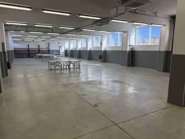 Дава се под наем Склад в Асеновград - 650 кв.м за 1785 € - Снимка #1