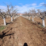 Земеделски имот в София, Свобода -  кв.м за 1666 €/дка - Снимка #1