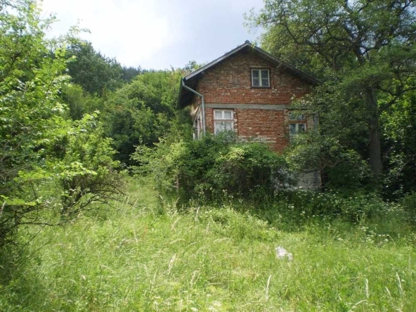 Къща в с. Добри дол, Област Кюстендил - 30 кв.м за 250 €/кв.м - Снимка #1