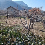 Парцел в Дупница - 524 кв.м за 97 €/кв.м - Снимка #1